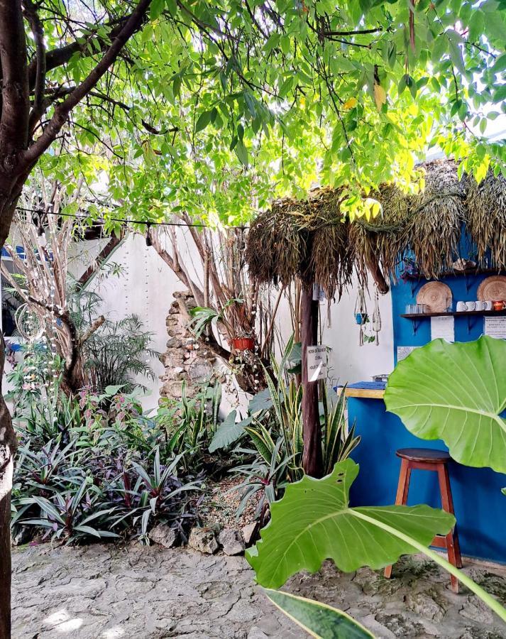 Hostal Jardin Mahahual Exterior foto
